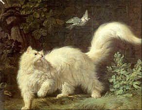 Jean-Jacques Bachelier Un chat Angora